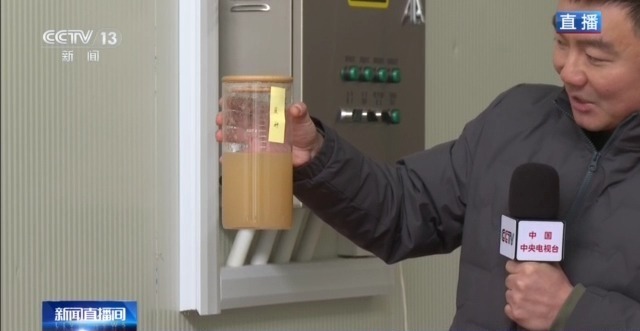 自主育种+智能生产双轮驱动 小菌菇也做成大产业