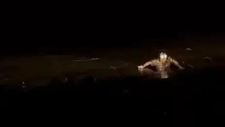 F4演唱会上，阿信摔下舞台，吴建豪飞奔查看，网友：看着都疼