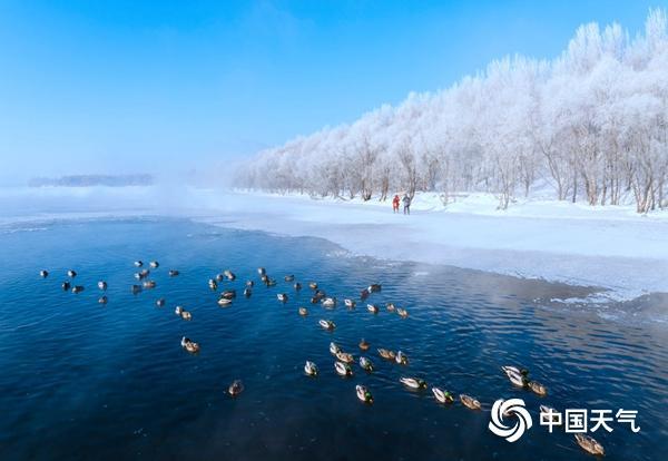 沙漠也有雾凇？全国雾凇地图出炉 四大场景解锁别样冰雪奇缘