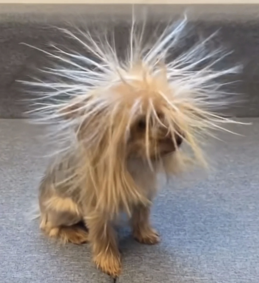 痛到龇牙，最近不少人都“炸毛”了！如何自救？