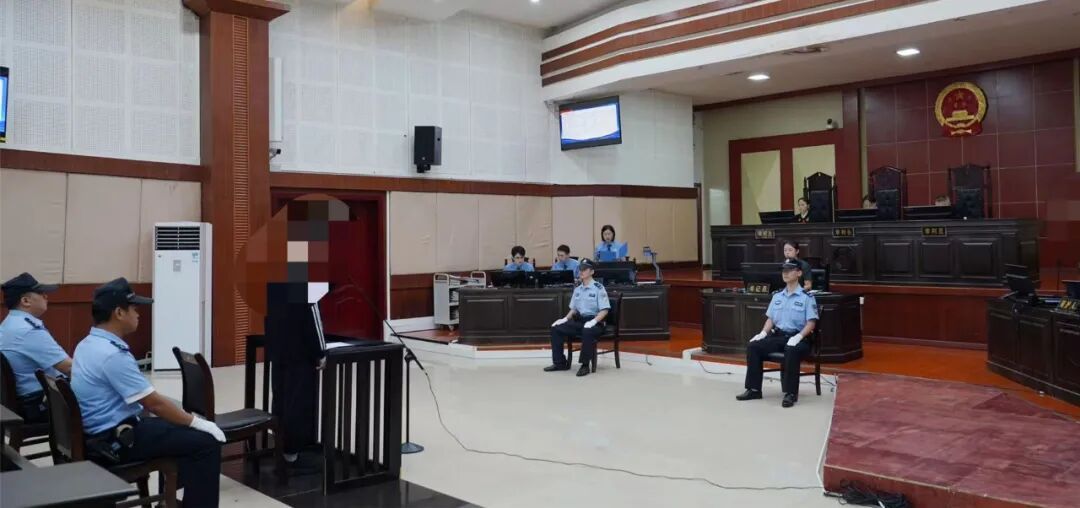 伪证包庇下的抢劫犯落网了