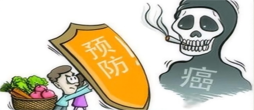 科学甩肉计划：阻断癌细胞“粮草”的钥匙