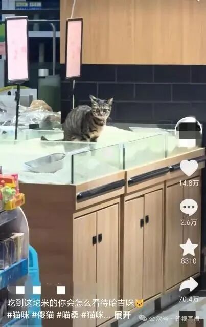 事发一超市！猫在散装大米上排泄，随后有顾客购买...
