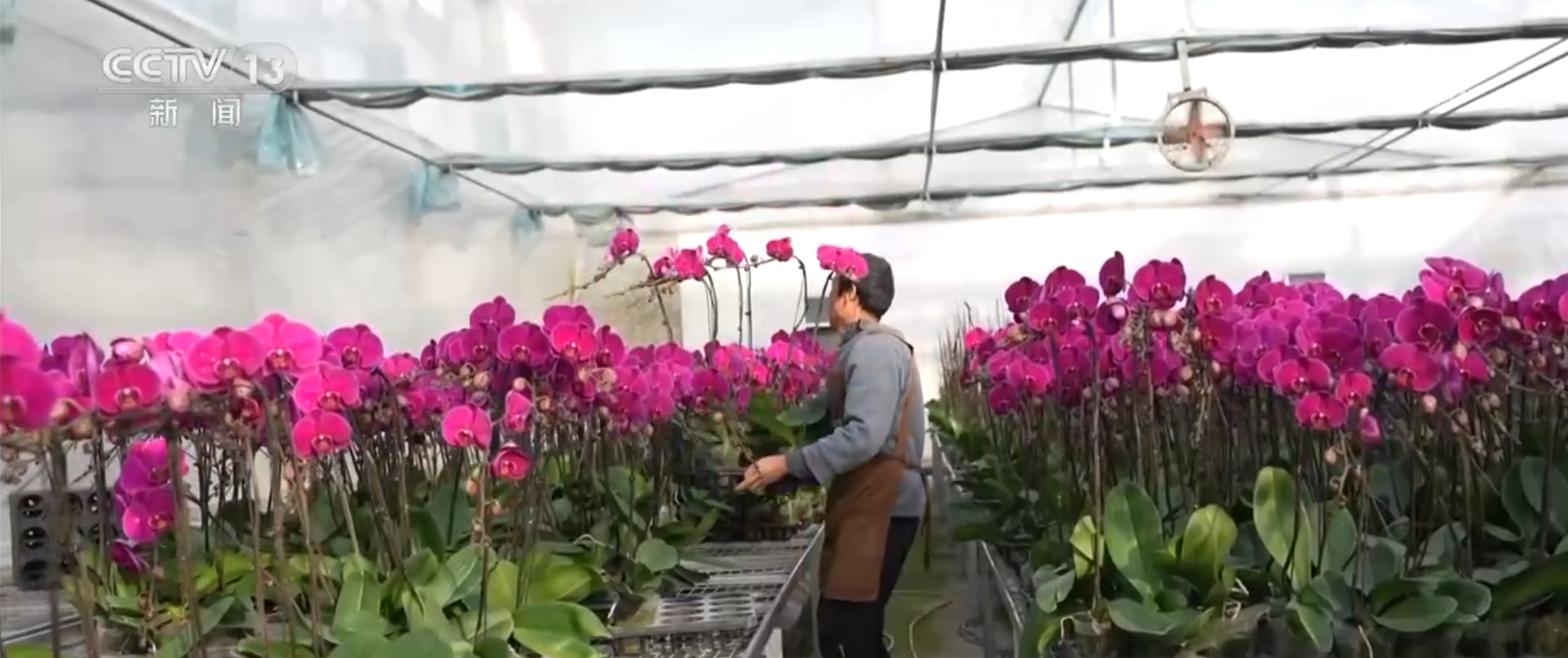 特色活动打造冬日消费新场景 冰雪“冷资源”变身文旅“热动能”