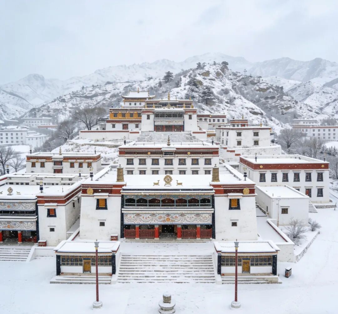 4小时3分钟，呼和浩特⇌银川！刚刚，包银高铁开通运营！