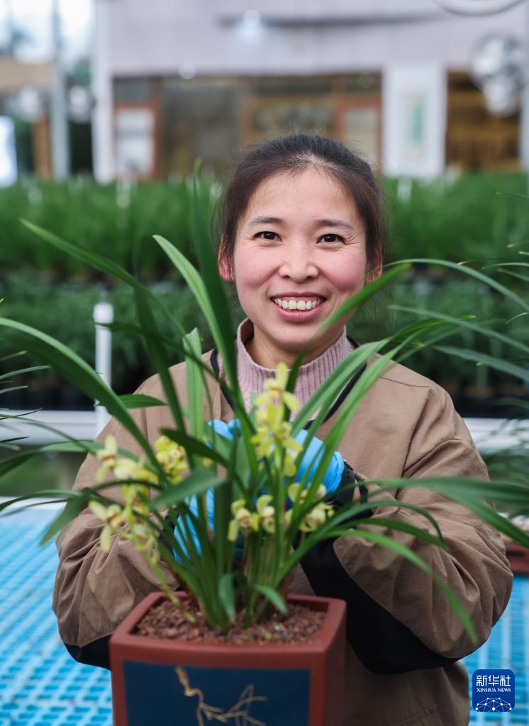 浙江绍兴：年宵花卉迎新年