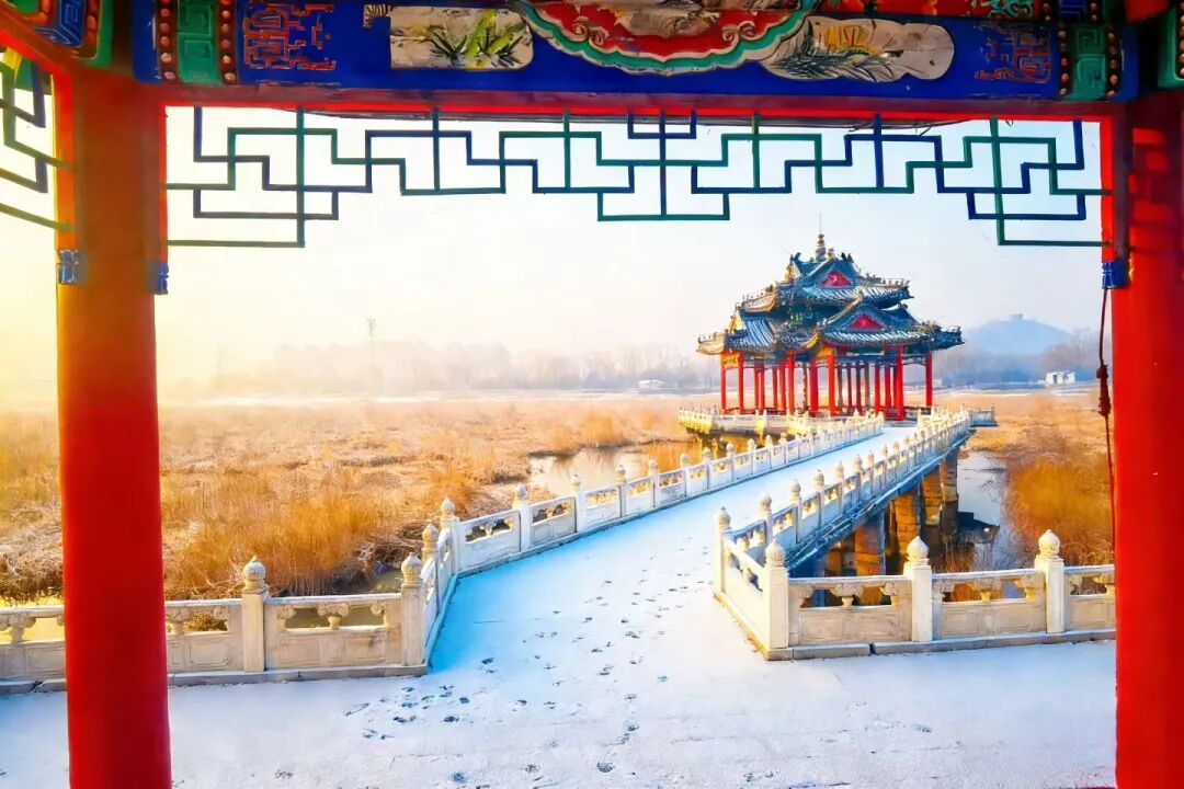 北京下雪了！冬日氛围感拉满~