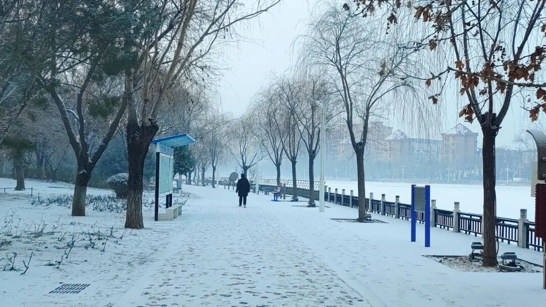 北京下雪了！冬日氛围感拉满~