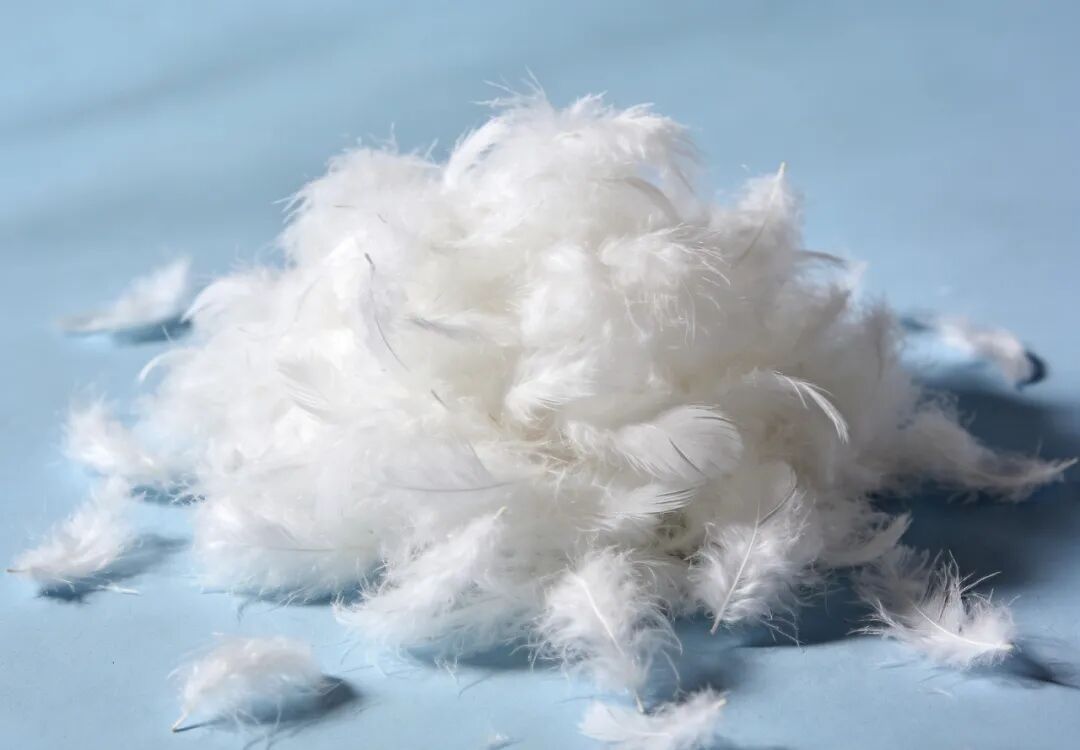 羽绒服这样放，穿两年就不暖了！