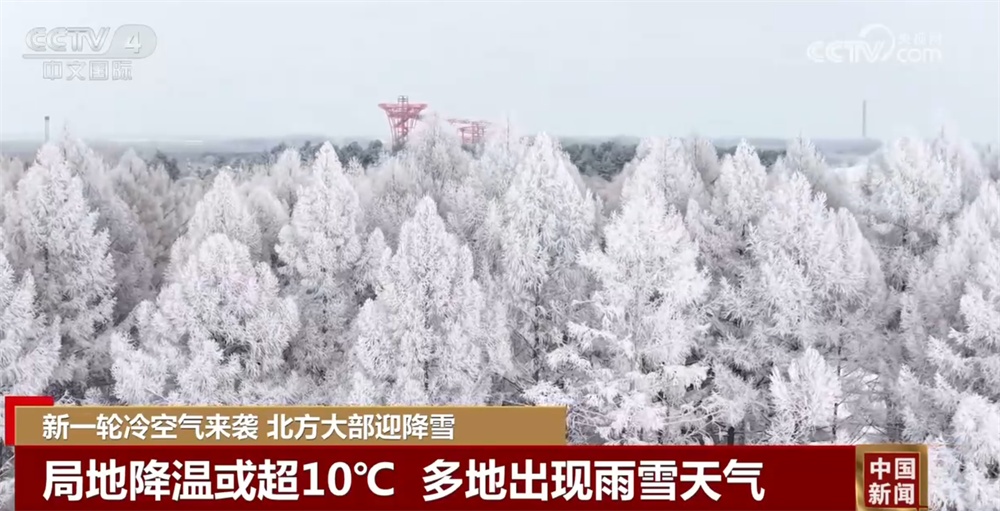闻“雪”而动、以“雪”为令筑牢防线 多地全力保通保畅保民生
