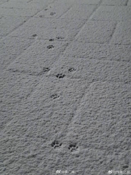 一觉醒来北京又下雪啦