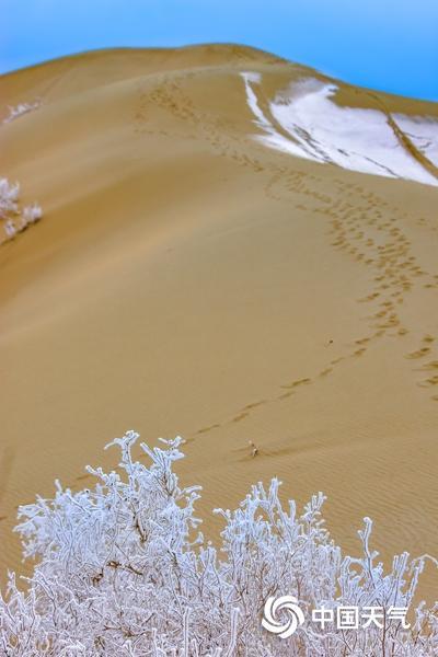沙漠也有雾凇？全国雾凇地图出炉 四大场景解锁别样冰雪奇缘