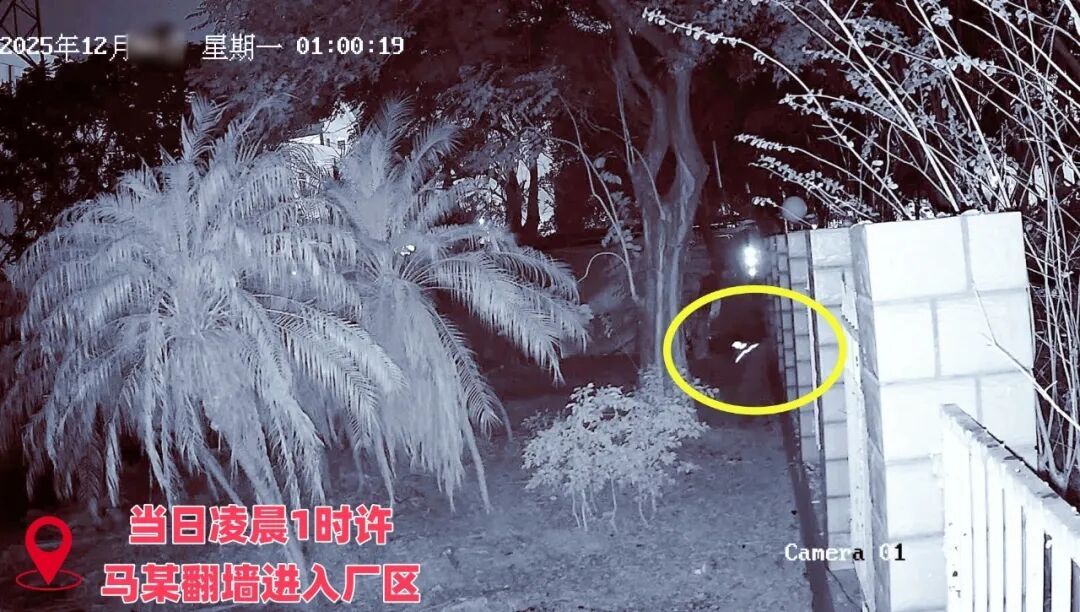 马某，被厦门警方抓获！