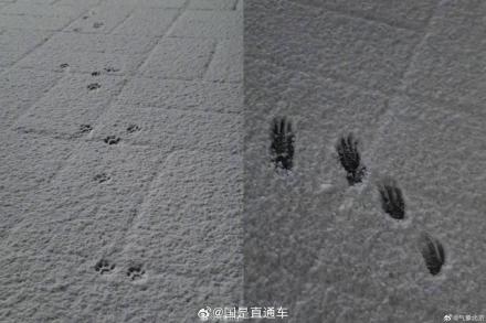 北京道路结冰预警