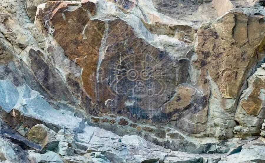 一屉稍麦和一盘羊肉手抓之间的距离有多远？