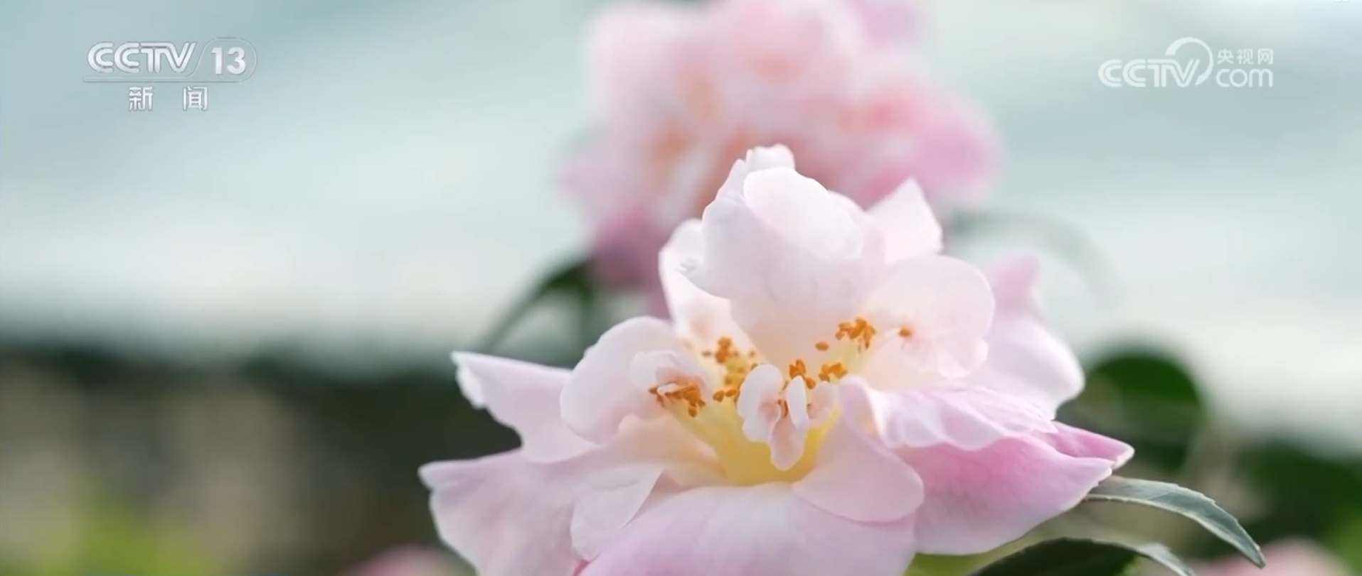 特色活动打造冬日消费新场景 冰雪“冷资源”变身文旅“热动能”