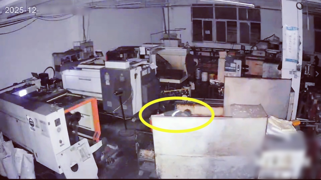 马某，被厦门警方抓获！