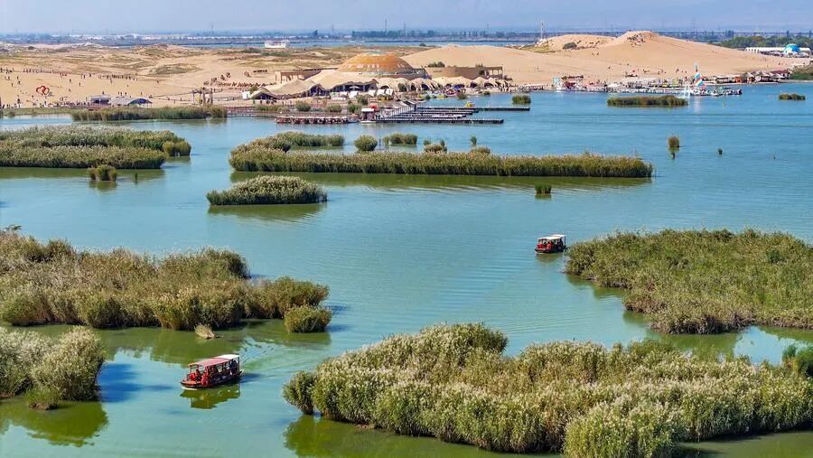 一屉稍麦和一盘羊肉手抓之间的距离有多远？