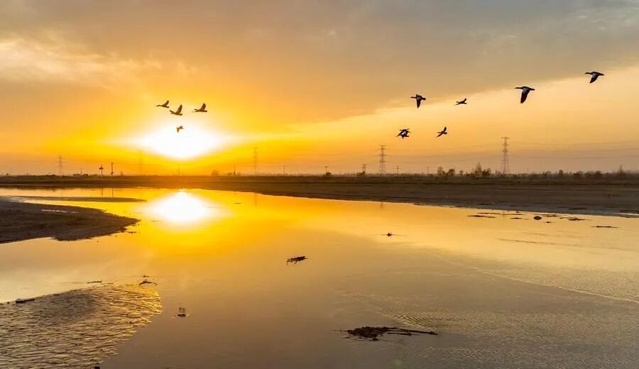 一屉稍麦和一盘羊肉手抓之间的距离有多远？