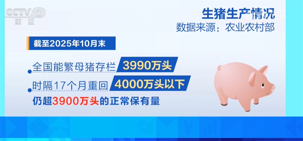 生猪价格持续低位运行 养殖行业“优化产能+管理成本”多举措转向新阶段