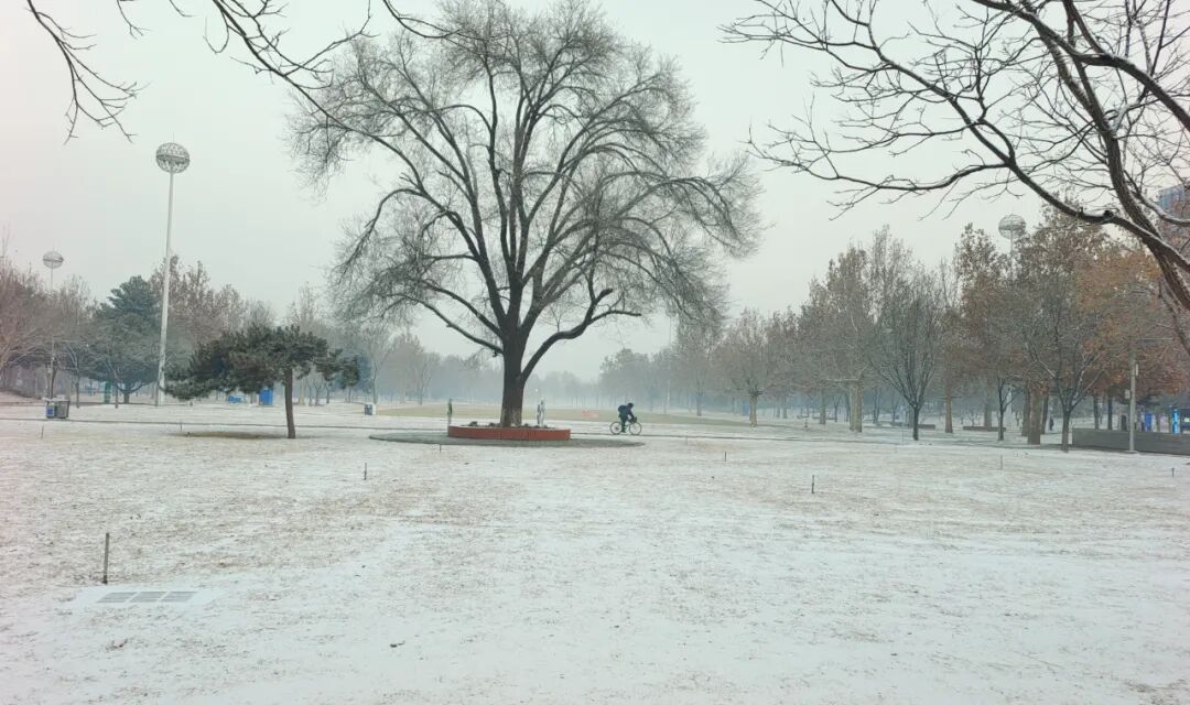 北京下雪了！冬日氛围感拉满~
