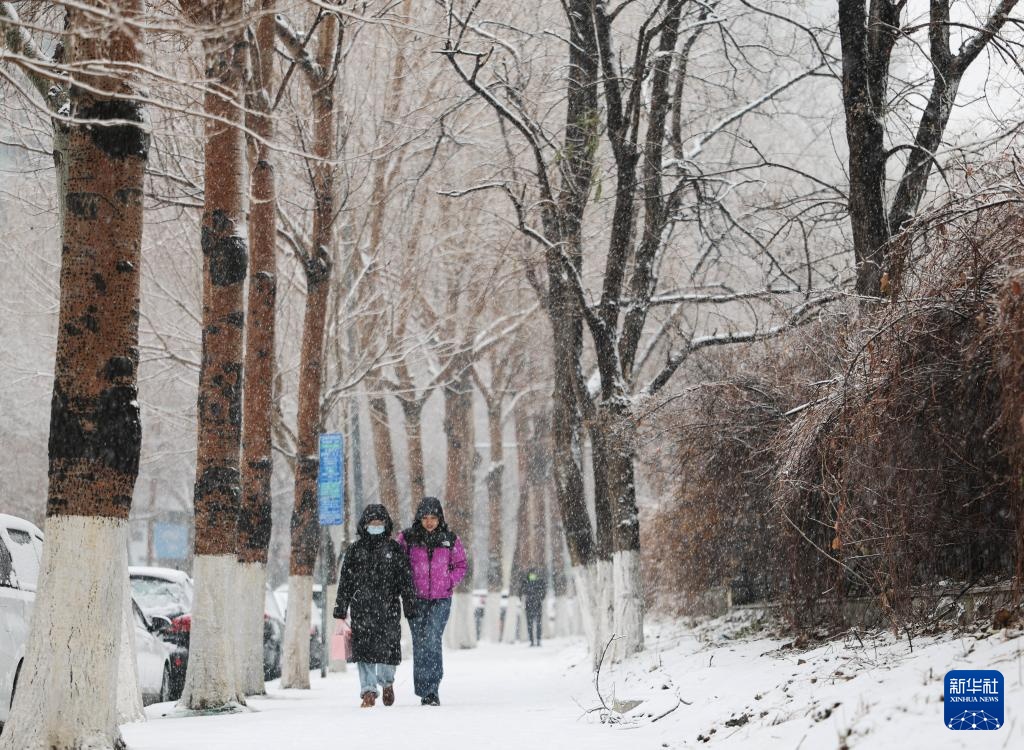 辽宁大范围降雪