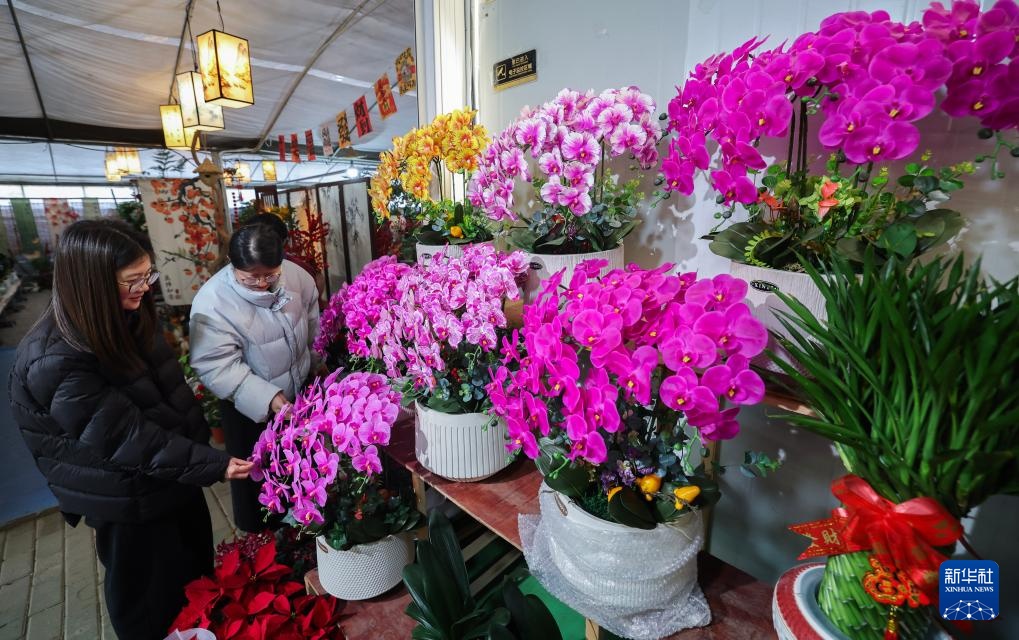 浙江绍兴：年宵花卉迎新年