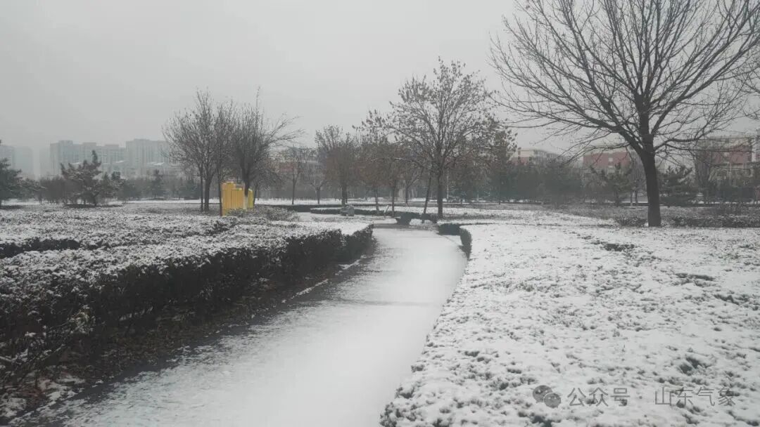 冬至刚过就速冻？山东多地飘雪，网友：饺子白吃了，还是冻耳朵！