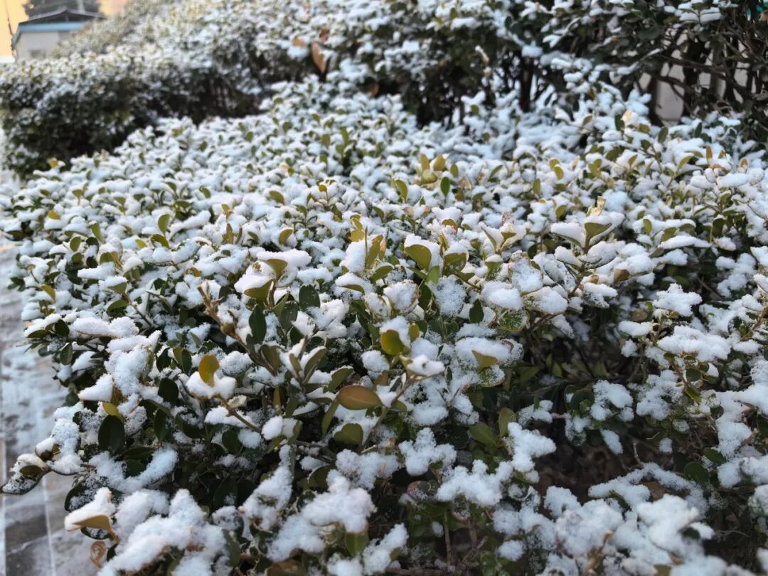 北京下雪了！冬日氛围感拉满~