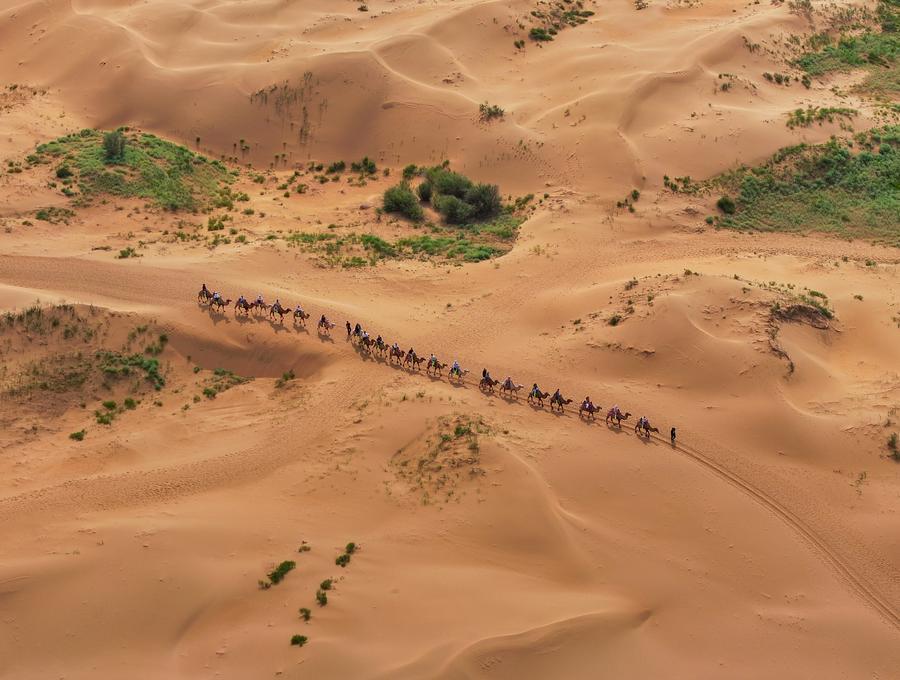 这条高铁线，“香”迷糊了！