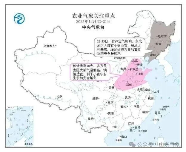 冬至刚过就速冻？山东多地飘雪，网友：饺子白吃了，还是冻耳朵！