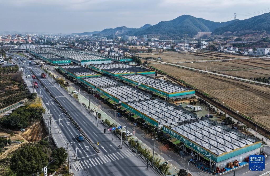 浙江绍兴：年宵花卉迎新年