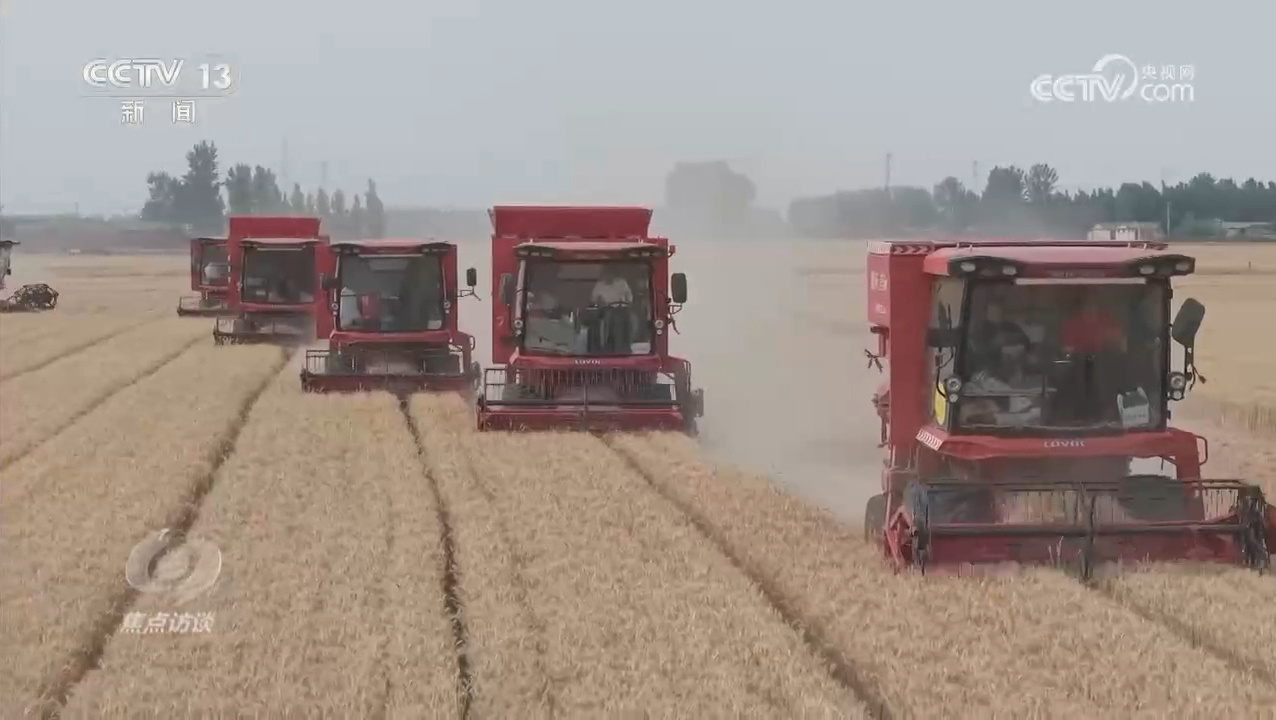 焦点访谈｜逆势增产：中国粮食安全的底气从何而来？