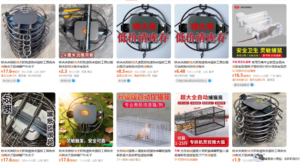 徒步紫金山要当心!落叶里藏着“捕兽器”,二级保护动物“貉”遭毒手 徒步紫金山要当心!落叶里藏着“捕兽器”,二级保护动物“貉”遭毒手