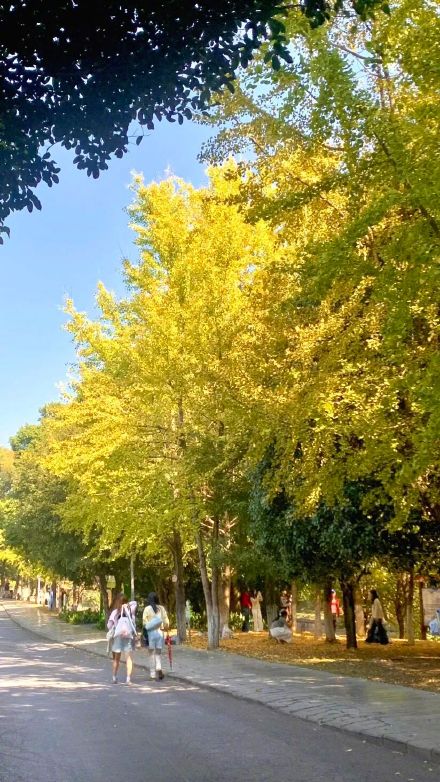 “桂林限定版浪漫”已上线！这些地方美到犯规→