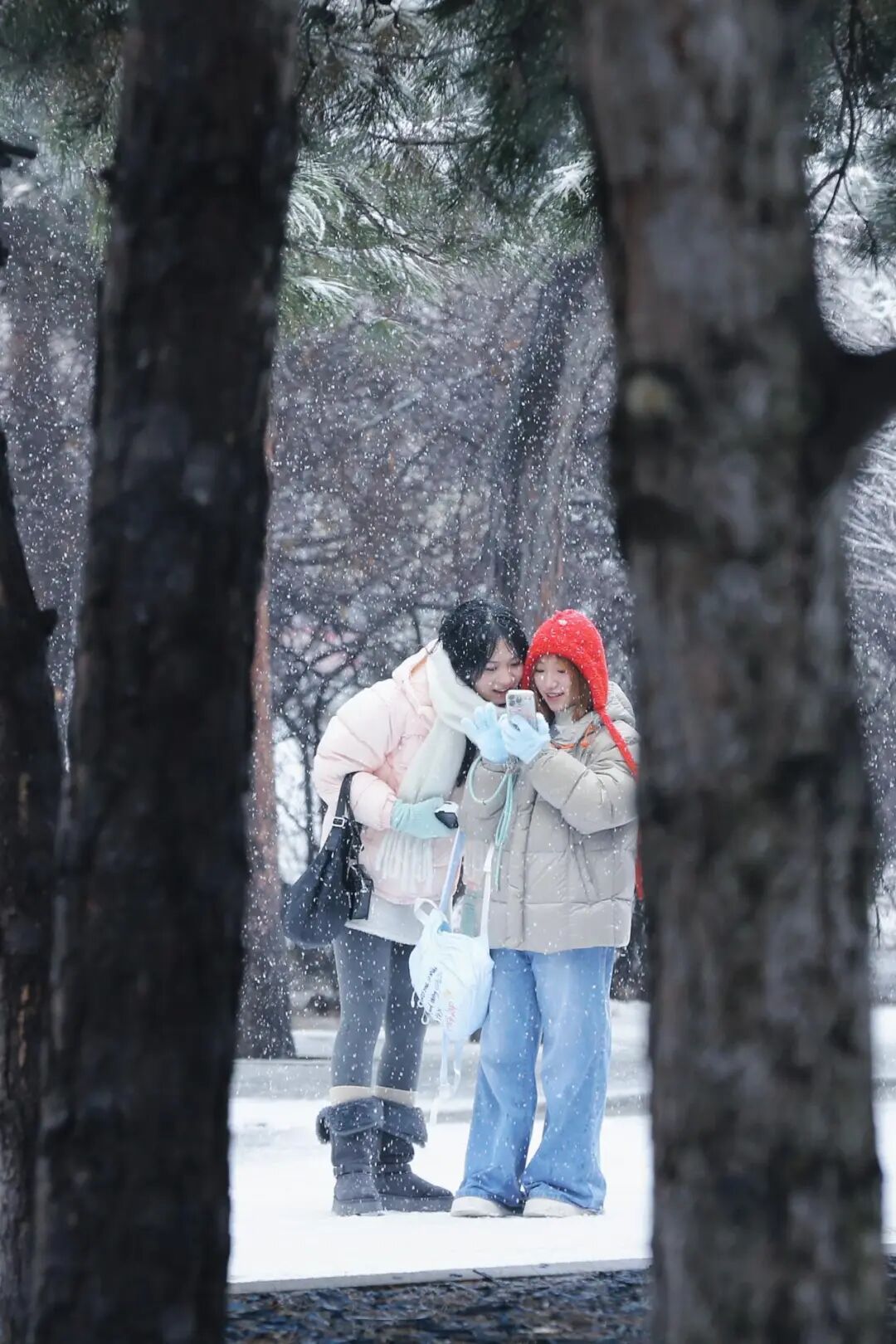沈城雪景盛宴 游客邂逅冬日小确幸