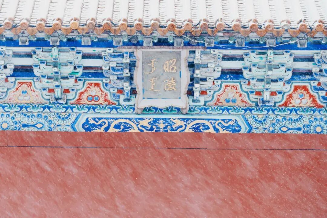 沈城雪景盛宴 游客邂逅冬日小确幸