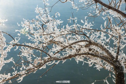 吉林绝美雾凇上线了