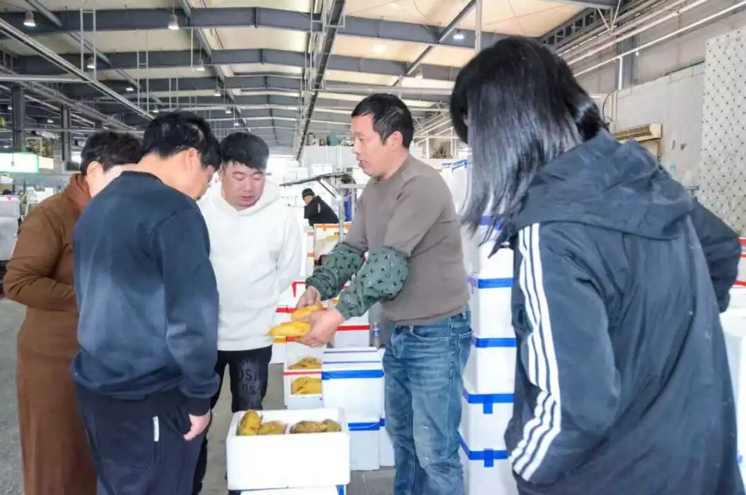 一天卖掉8000公斤！浙江人餐桌上的“鲜味担当”，今年价格便宜30%！