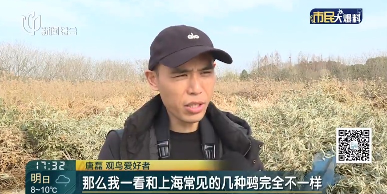 上海首次发现！这对父子数日观察，相机记录下罕见一幕