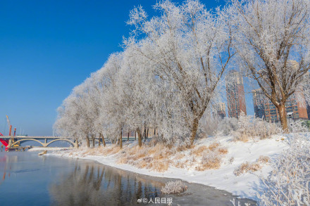 吉林绝美雾凇上线