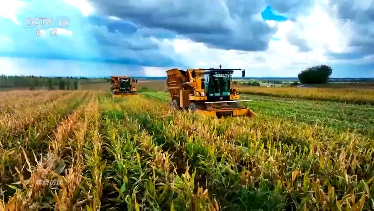 焦点访谈｜逆势增产：中国粮食安全的底气从何而来？
