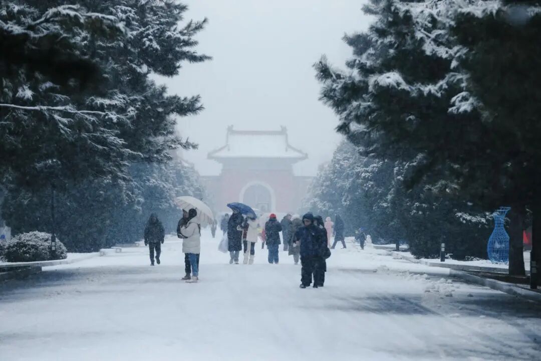 沈城雪景盛宴 游客邂逅冬日小确幸