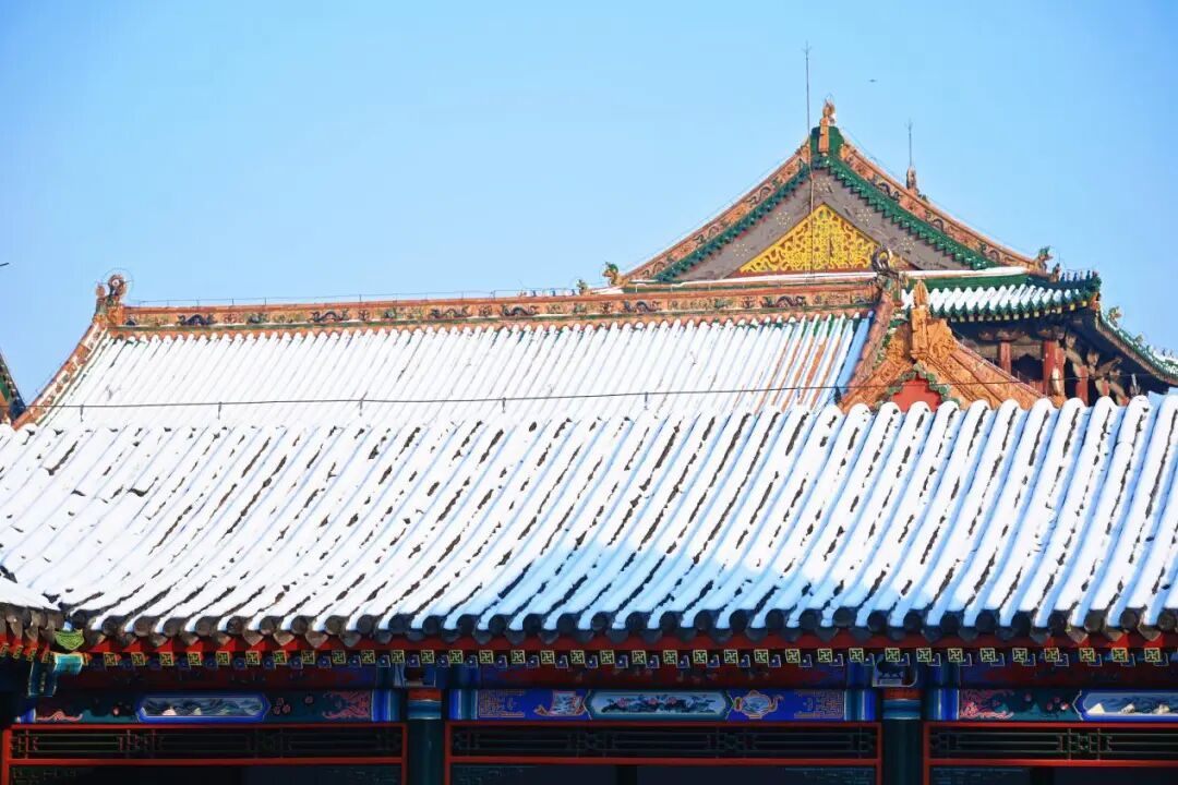 沈城雪景盛宴 游客邂逅冬日小确幸