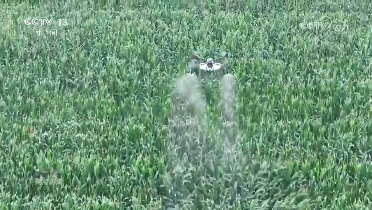 焦点访谈｜逆势增产：中国粮食安全的底气从何而来？