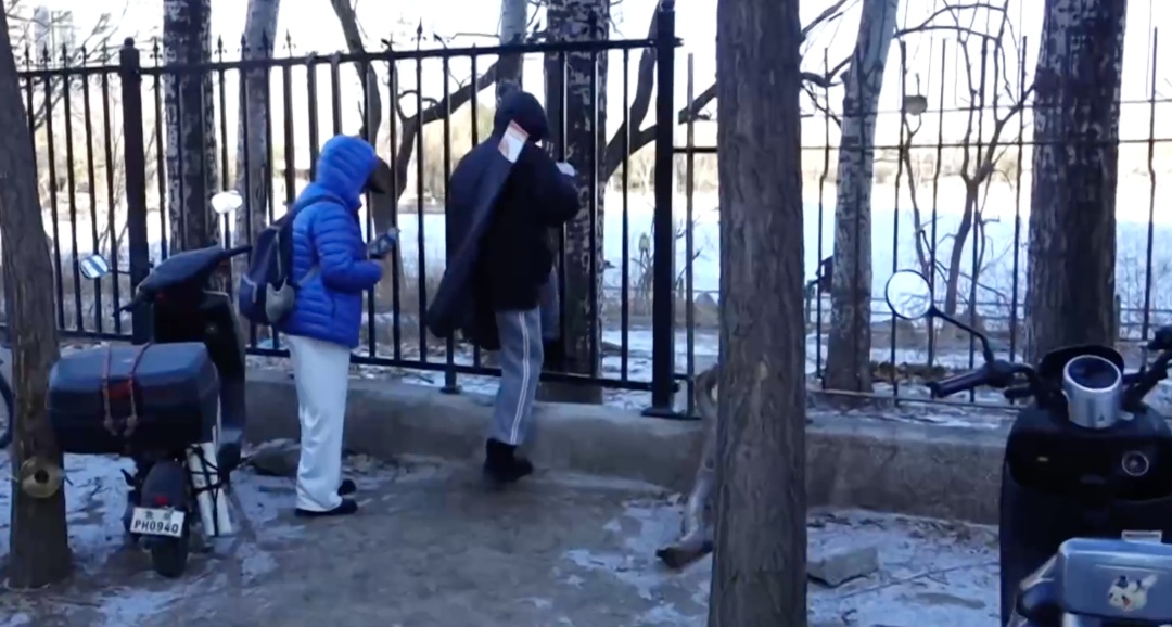 太危险！有人锯断公园护栏，只为滑那几厘米的冰！“前些日子还掉下一个人”