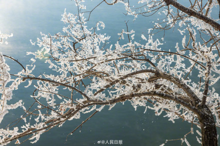 吉林绝美雾凇上线