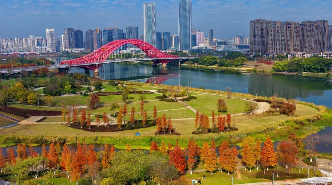 稳楼市，明年打算怎么干？