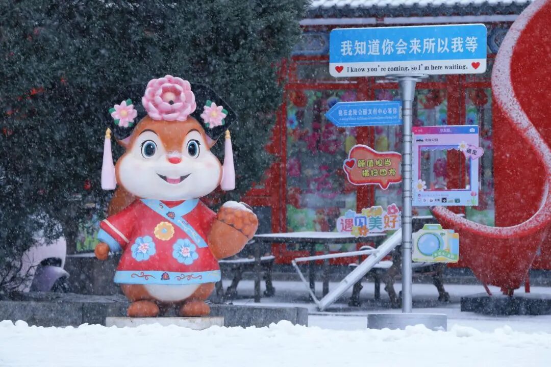 沈城雪景盛宴 游客邂逅冬日小确幸
