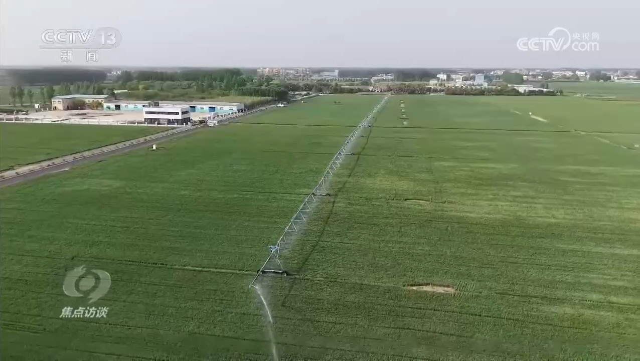 焦点访谈｜逆势增产：中国粮食安全的底气从何而来？